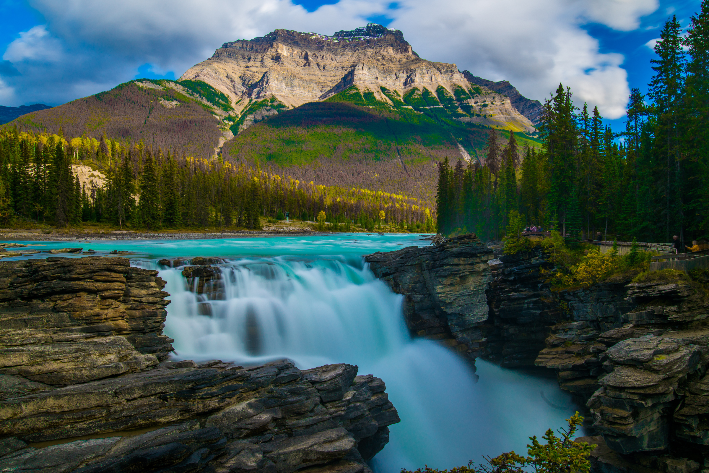 jasper national park, alberta (2).webp